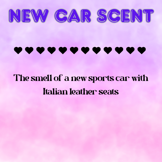 New Car Scent Scented Aroma Beads