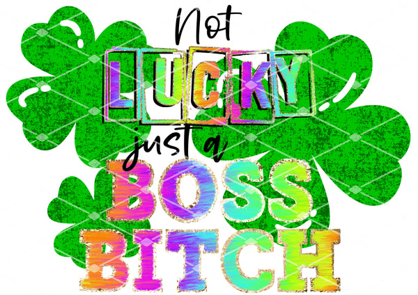 Not Lucky- Just a Boss Bitch