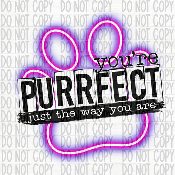 Purrfect Just the Way You Are